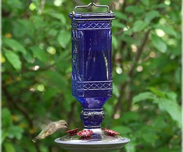 Blue Bottle Hummingbird Feeder
