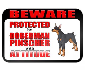 Doberman Pinscher with Attitude
