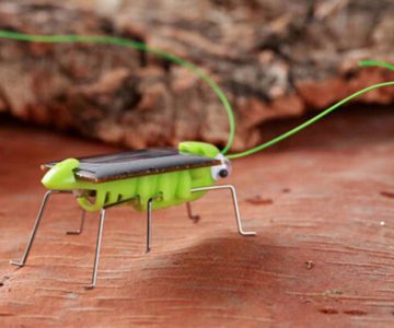 Solar Powered Grasshopper