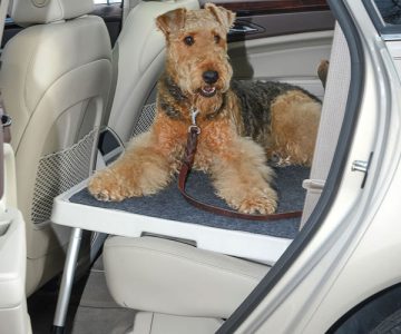 Backseat Safety Dog Deck