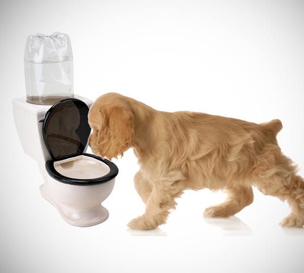 Toilet Water Dish for Pets