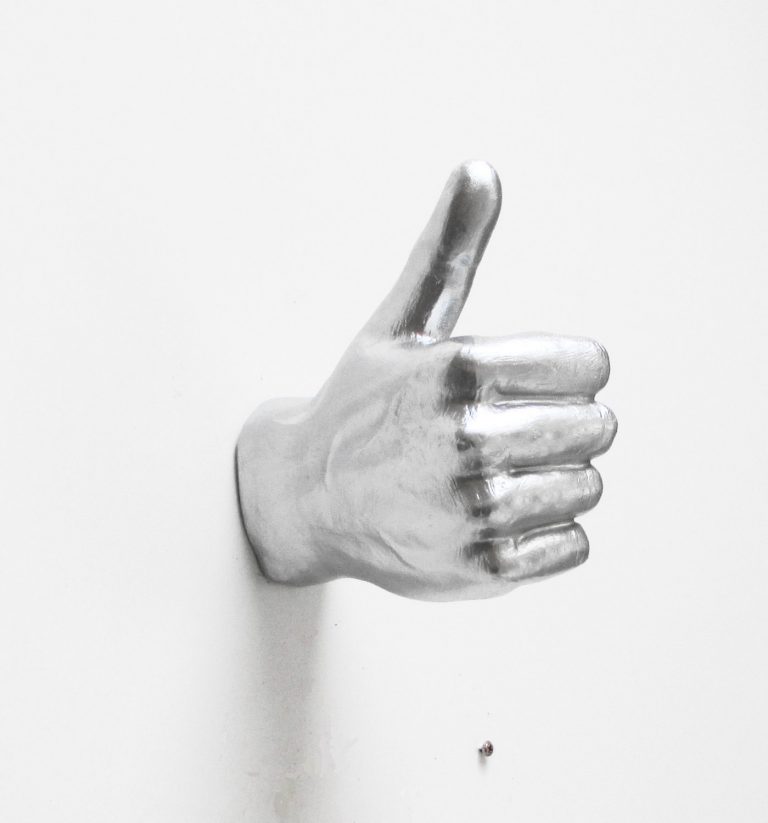 Silver Hand Wall Hook