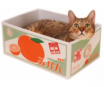 Satsuma Fruit Box Cat Bed