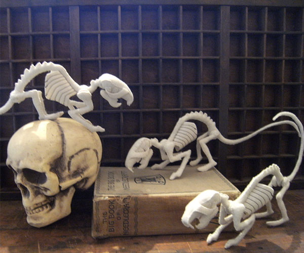 Sewn Bone Rat Skeleton
