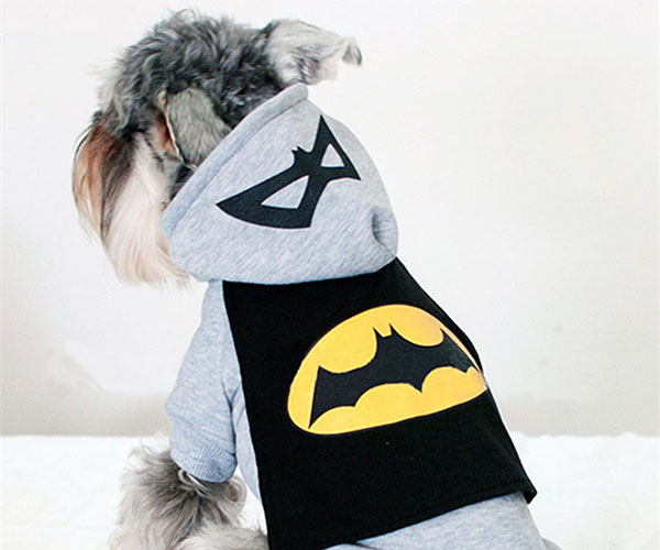 Batman Dog Hoodie