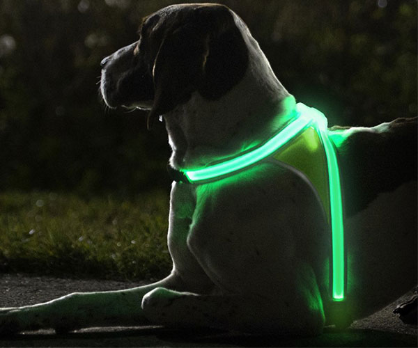 Glow Illuminated and Reflective Vest for Dogs