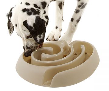 Dog Maze Food Bowl