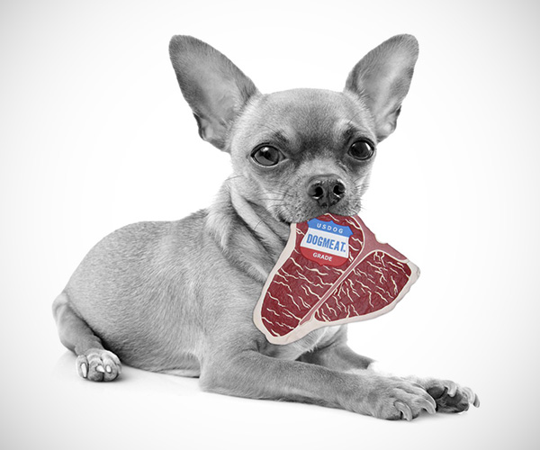 T-Bone Steak Dog Meat