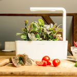 Click & Grow Smart Herb Garden