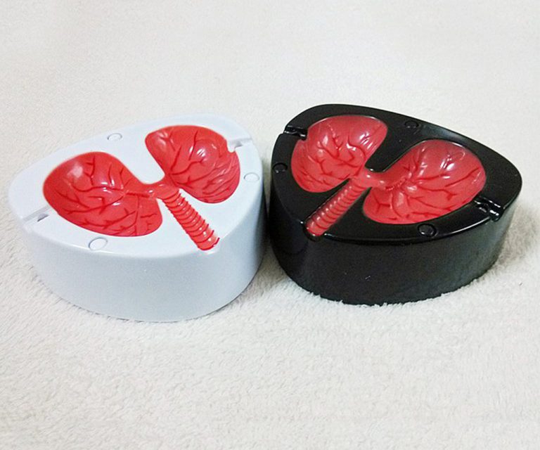 Quit Smoking Lung Ashtray