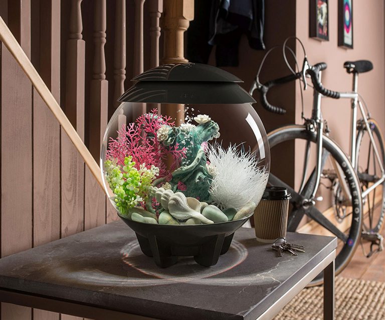 biOrb HALO Aquarium
