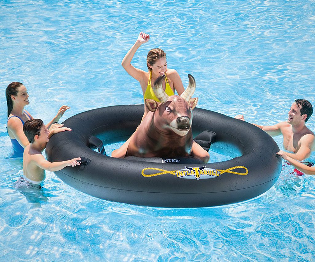 Inflatable Pool Tube with a Bull
