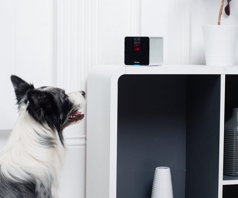 Petcube Pet Camera