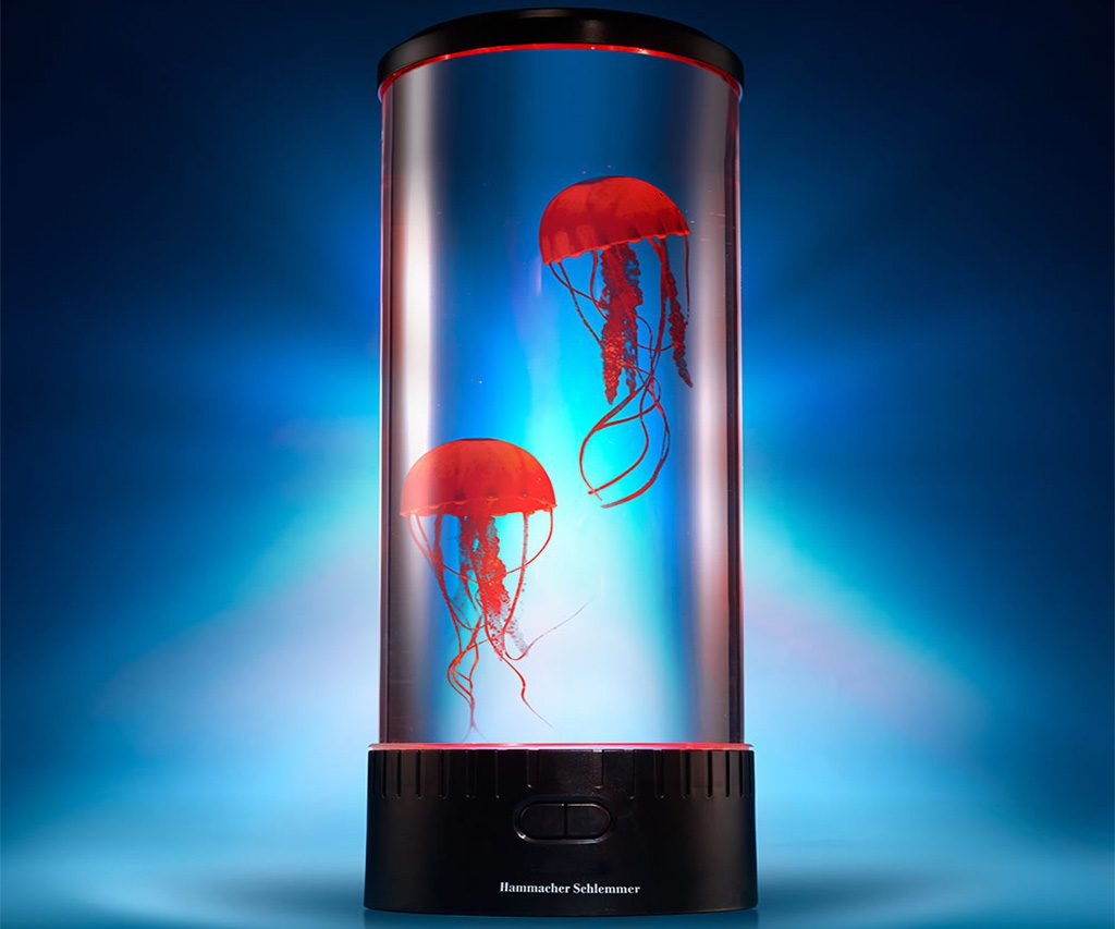 Hypnotic Jellyfish Aquarium