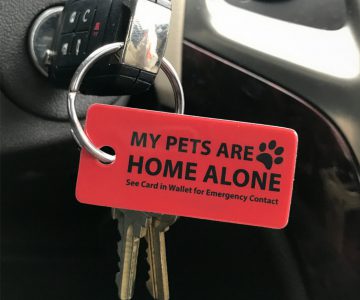 Cool Things To Buy - Emergency Pet Key Tags