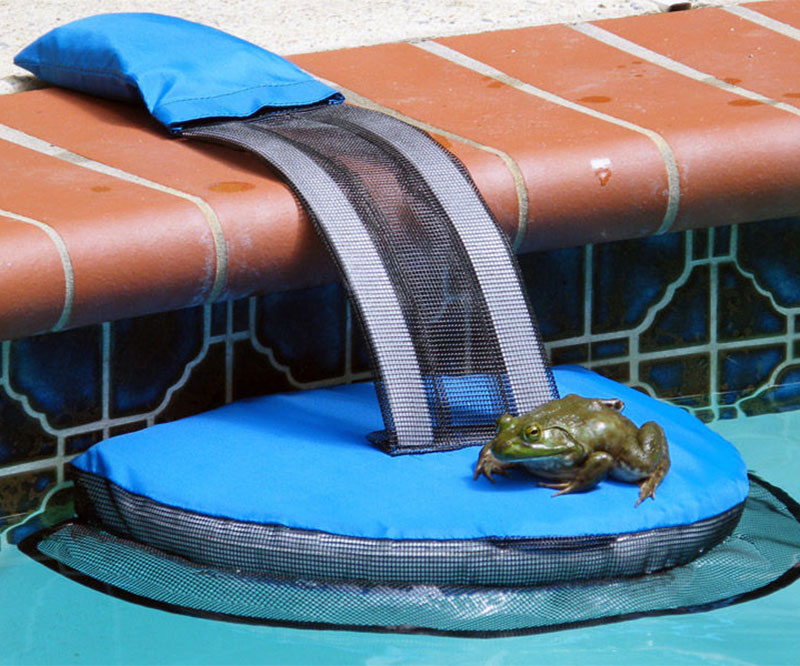 FrogLog Critter Saving Escape Ramp