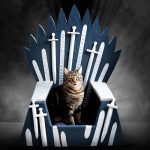 Iron Throne Cat Bed