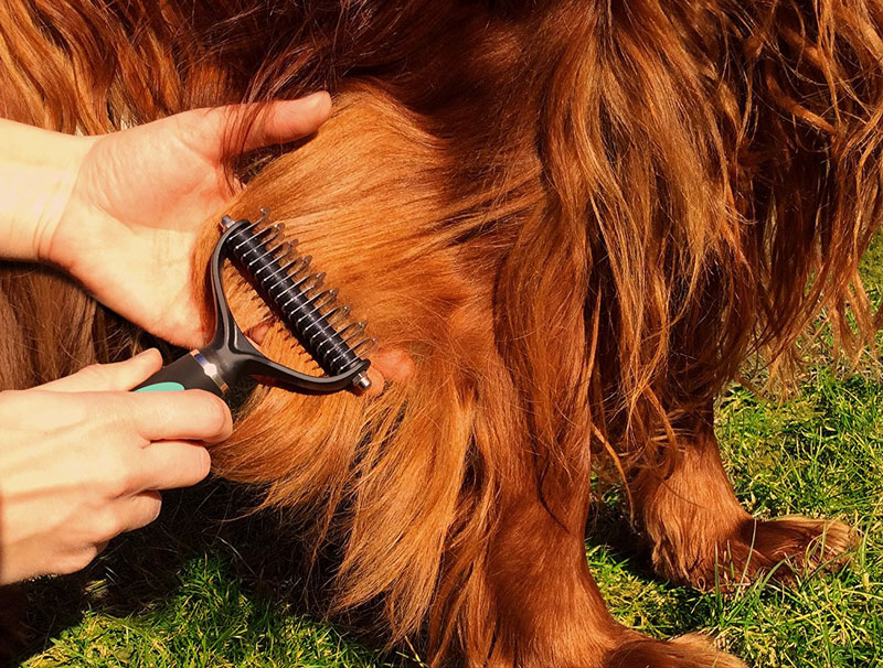 Dematting Comb for Dogs