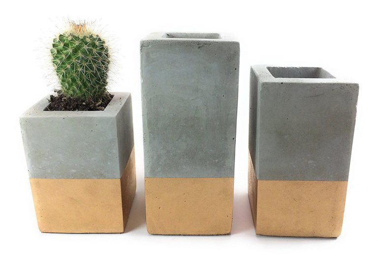 The Only Square Concrete Succulent Planters you Need for your Patio Veranda or Garden!